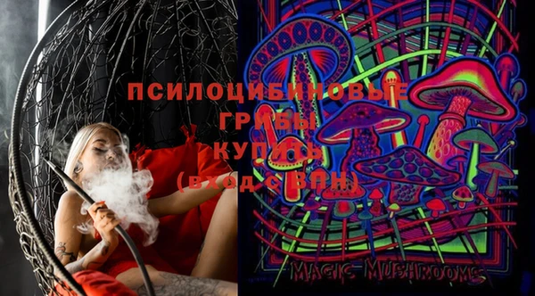 бошки Аркадак